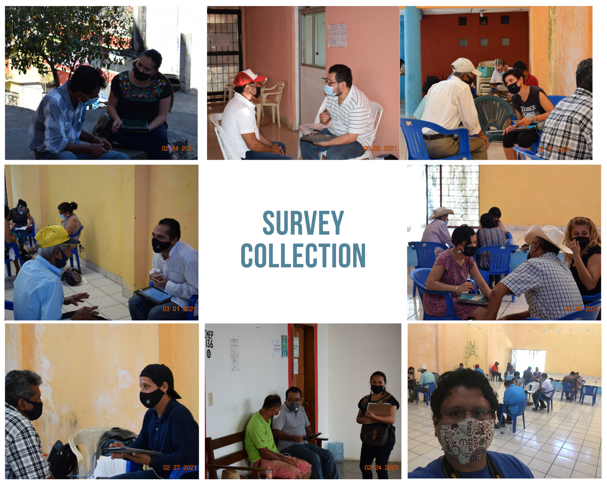 Survey design and data analysis